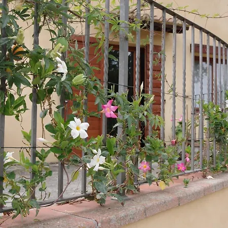 Il Gufo Del Chianti Apartment Montespertoli Exterior photo
