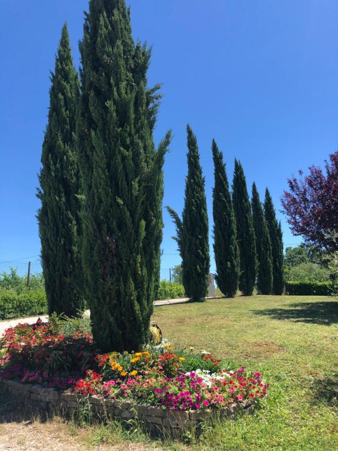 Il Gufo Del Chianti Apartment