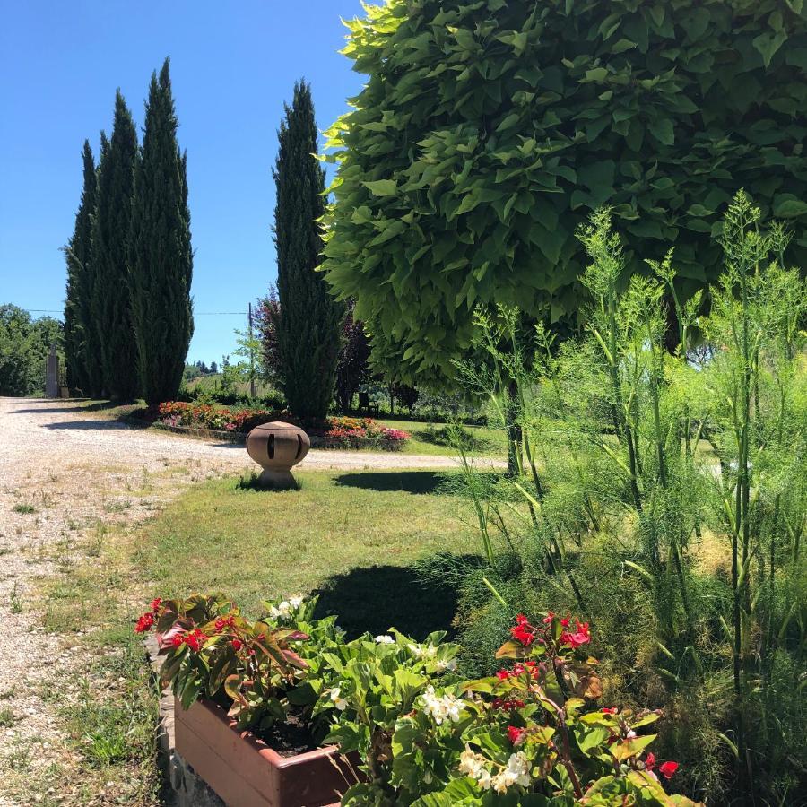 Il Gufo Del Chianti Apartment *
