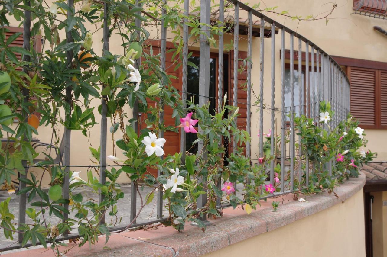 Il Gufo Del Chianti