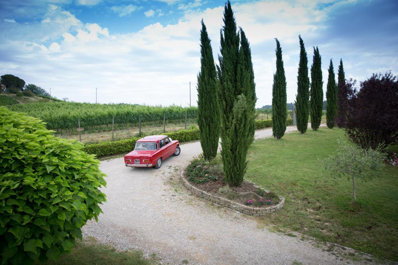 Il Gufo Del Chianti